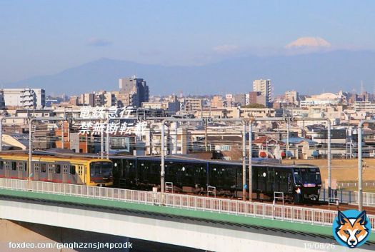 \u25a0相鉄東急新横浜線開業 東急線内で相鉄直通列車の離合（MG相鉄21000系/TY東急渋谷ヒカリエ号）を見ることが出来るようになりました。21000系の方は記念装飾の編成です。2023年3月撮影。#東急　#相鉄　#東急新横浜線　#相鉄新横浜線　#多摩川