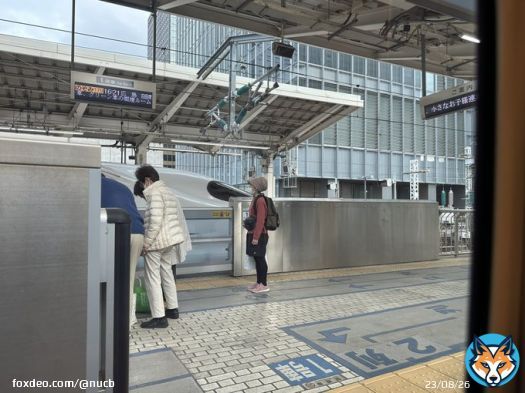 サヨナラ。関東竜の皆様。 名古屋に帰ります。また火曜日から バンテリンのヤクルト３連戦に 参戦します！ 東京ドームでホームラン０で 中田と丸のホームランしか 見てないので、もっとホームランを 見せてください。 #中日ドラゴンズ