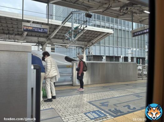 サヨナラ。関東竜の皆様。 名古屋に帰ります。また火曜日から バンテリンのヤクルト３連戦に 参戦します！ 東京ドームでホームラン０で 中田と丸のホームランしか 見てないので、もっとホームランを 見せてください。 #中日ドラゴンズ
