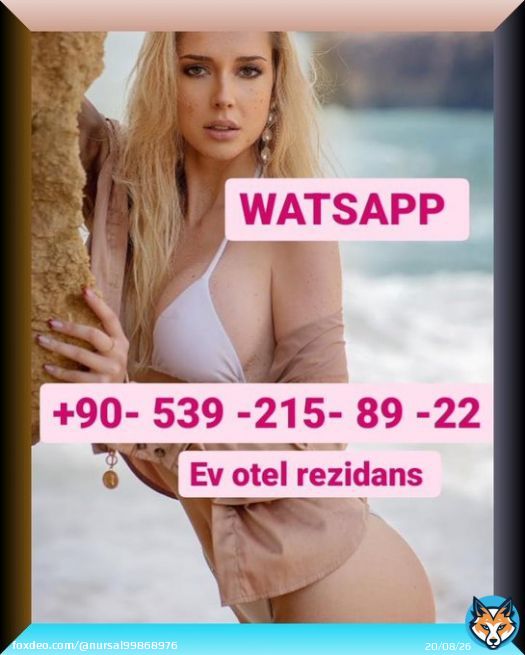 abandone KIPTİLİKMEMİŞLER KURŞUNLUMAMUŞLAR gaziosmanpaşa bağcılar bayrampaşa  istanbul bah&ccedil;eşehir topkapı