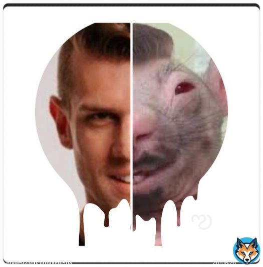 A Larissa fez um churrasco do Rato Grey! Era uma vez um topete invejável. Agora é o topete venenoso. #BBB23 #Jogodadiscordia