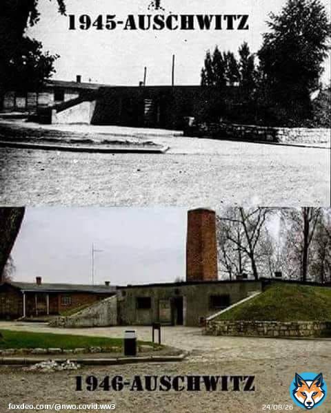 6 big LIES that cost Goyim LIVES: Titanic #Fed - Ashkenazi bankers WWI - Israel WWII - Israel JFK assassination - Mossad Israel 911 - dancing Israelis - Mossad - Israel COVID   Goyim Genocide - if there was a chimney we could call it Goyim Hol*caust as millions died for Israel.