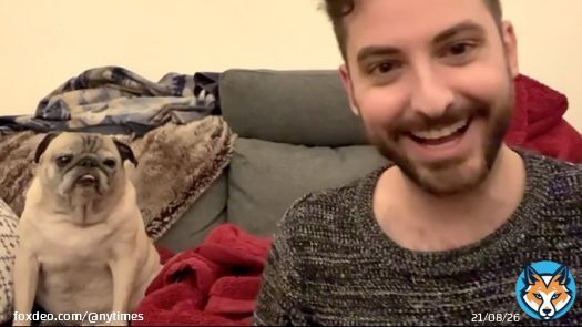 Noodle, a pug who entertained and motivated TikTok viewers for more than a year with the simple act of rising from or collapsing into his dog bed, died on Friday, his owner said. He was 14.
