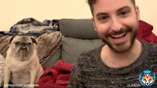 Noodle, a pug who entertained and motivated TikTok viewers for more than a year with the simple act of rising from or collapsing into his dog bed, died on Friday, his owner said. He was 14.