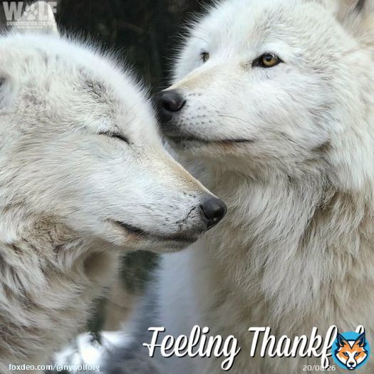 From our family to yours, Happy #Thanksgiving.