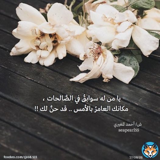 ﴿ هُم دَرَجاتٌ عِندَ الله ﴾  ألا تدفعك هذهِ الآية لسؤالٍ عظيم !  يَهيجُ له قلبُ المؤمن اضطرابًا وخوفا..!   'ما أنا عند الله ' ؟!!  #تغريده_لشخص_تعزه