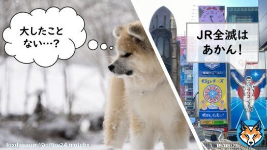 おはよー  西新宿はくもり  #最強寒波襲来   雪国では「大したことない」との声も Twitter上である一方  関西では多くの路線が運転見合わせで 「#JR全滅」との声も  東京は寒い程度で まだ実害は感じませんが  どんな地域でも 引き続き、警戒すべきことは確か  #企業公式が毎朝地元の天気を言い合う