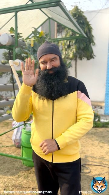 #OrganicFarming is a sustainable form of agriculture using fertilizers & pesticides made from natural substances. Recently, #SaintDrGurmeetRamRahimSinghJi has suggested various #AdvancedFarming tips like farming without land & with minimal use of water.