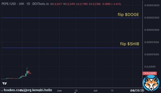 Bitcoin is down & therefore the market is down a bit this morning. Nothing has changed & my $pepe conviction is strong.  In case you need a reminder, here is the current @pepecoineth chart w/ flip $shib & $doge levels.  #PEPE is the michael jordan of memes, imagine fading that.