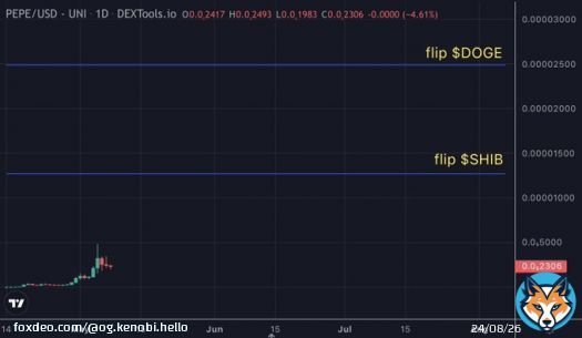 Bitcoin is down & therefore the market is down a bit this morning. Nothing has changed & my $pepe conviction is strong.  In case you need a reminder, here is the current @pepecoineth chart w/ flip $shib & $doge levels.  #PEPE is the michael jordan of memes, imagine fading that.