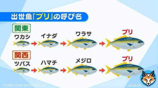 ガーシー氏&rarr;ガーシー候補&rarr;ガーシー議員&rarr;ガーシー容疑者&rarr;ガーシー被告  およそ一年で肩書きがブリくらい変わるガーシーすごい。