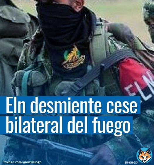 ¿Paz total? ¡Improvisación total!