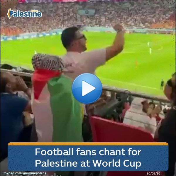 Football fans chant for Palestine during the Qatar vs. Netherlands match at #FIFAWorldCup 0:072,641 views