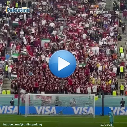 Football fans chant for Palestine and raise Palestinian flags during the Qatar vs. Netherlands 2022 World Cup match in Qatar. #FIFAWorldCup