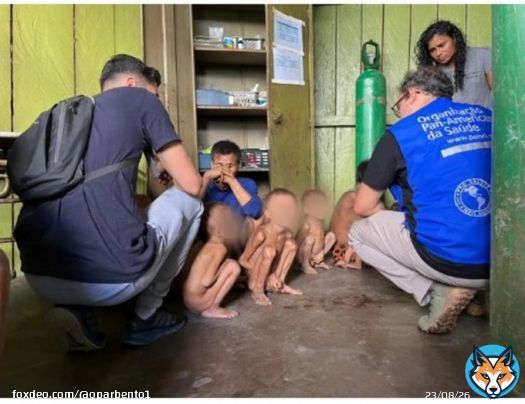 O que est&aacute; acontecendo com os Yanomami n&atilde;o &eacute; trag&eacute;dia humanit&aacute;ria. &Eacute; crime contra a humanidade. &Eacute; genoc&iacute;dio. O autor do genoc&iacute;dio &eacute; a gest&atilde;o Bolsonaro. #Genoc&iacute;dioYanomami