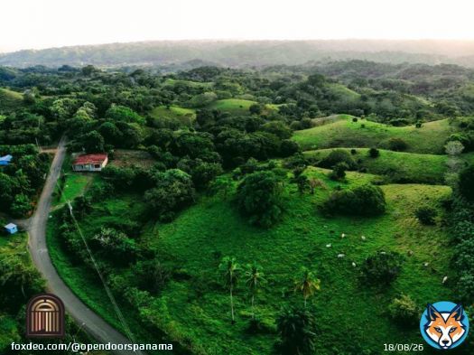 Lush rolling hills, views of the Pacific Ocean and so many options at your fingertips with this land.  #panama #pedasi #playavenao #land #luxury #realestate