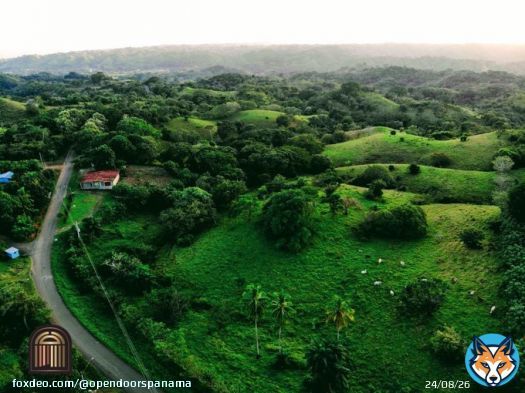 Lush rolling hills, views of the Pacific Ocean and so many options at your fingertips with this land.  #panama #pedasi #playavenao #land #luxury #realestate