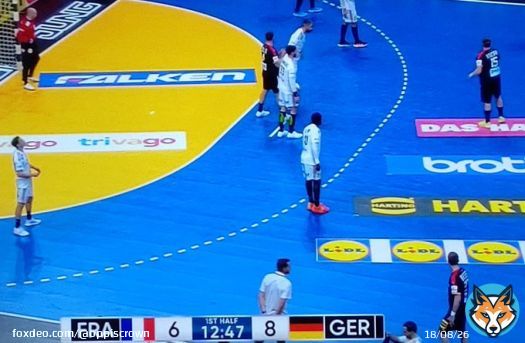 Stop the count  #HandballWM #FRAGER