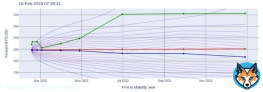 After a brief, sharp move 2d ago #Bitcoin market expects next push before 3MAR. After the move the shape of the upper forward curve experiences certain swing on the short term. The long term vision targeting the level of $45k does not change. Regulatory pressure? #crypto #DeFi
