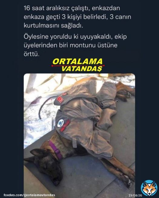 Şu &uuml;lkede bu k&ouml;pek kadar bile, faydası olmayan insanlar var !  AFAD DA BİZİM AHBAP deprem 1 Milyar AhbapDernegi Haluk Levent Tarkan 1 ETH Enkazdan Katar d&ouml;rtyol Antakya'da Merdivenden Elif Ertem Şener Hollanda Arda G&uuml;ler'e Deniz BBaykal Oğuzhan Uğur ALLAH RAHMET EYLESİN yağma