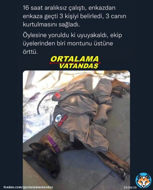 Şu &uuml;lkede bu k&ouml;pek kadar bile, faydası olmayan insanlar var !  AFAD DA BİZİM AHBAP deprem 1 Milyar AhbapDernegi Haluk Levent Tarkan 1 ETH Enkazdan Katar d&ouml;rtyol Antakya'da Merdivenden Elif Ertem Şener Hollanda Arda G&uuml;ler'e Deniz BBaykal Oğuzhan Uğur ALLAH RAHMET EYLESİN yağma