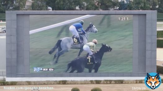 #ヤクシマ #東京競馬 #クロッカスステークス #リステッド競走