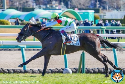 エフフォーリア妹つえええええええ #ペリファーニア
