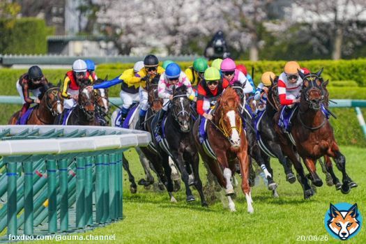 4角先頭、ジャックドール！ 先頭の景色は譲れない&hellip;！！  大阪杯優勝おめでとうございます！！