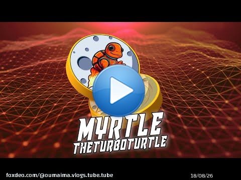 Myrtletheturboturtle &ndash; token, built on the BNB Smartchain network