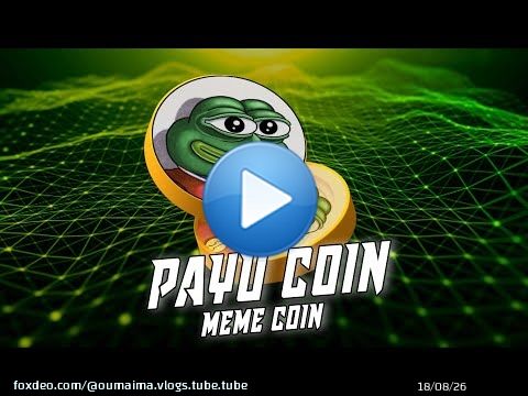 Payu Coin Project: Revolutionizing Rewards, Transfers, and Daily Life Usage
