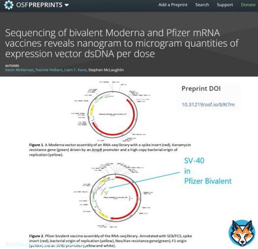 McKernan et al, analyzed two vials of @moderna_tx and 2 vials of @pfizer bivalent vaccines.  The cancer promoter SV-40 was in @pfizer.  Neither company has done analyses to corroborate or refute these findings. #courageousdiscourse @drcraigwax @MdBreathe @Kevin_McKernan