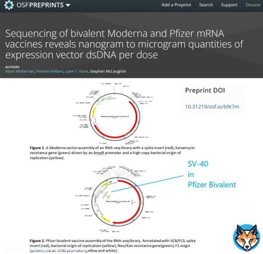 McKernan et al, analyzed two vials of @moderna_tx and 2 vials of @pfizer bivalent vaccines.  The cancer promoter SV-40 was in @pfizer.  Neither company has done analyses to corroborate or refute these findings. #courageousdiscourse @drcraigwax @MdBreathe @Kevin_McKernan