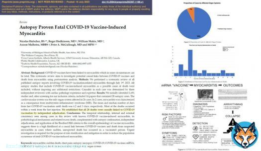 C19vax myocarditis is fatal.  Should be taken with the utmost concern by all at @pfizer @moderna_tx @Novavax @JanssenUS @US_FDA  @ESC_Lavinia @SilCastelletti @DreznerJon @DrSarahClarke @ACCinTouch @escardio @franz_weidinger @HadleyWilsonMD @Joseph_C_