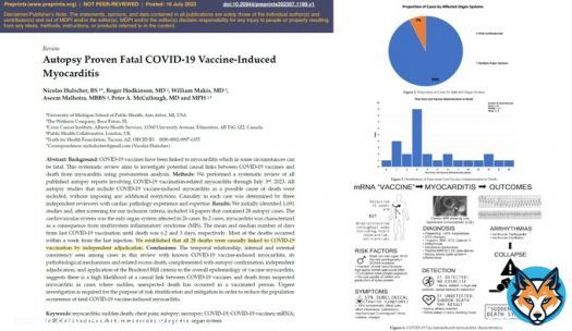 C19vax myocarditis is fatal.  Should be taken with the utmost concern by all at @pfizer @moderna_tx @Novavax @JanssenUS @US_FDA  @ESC_Lavinia @SilCastelletti @DreznerJon @DrSarahClarke @ACCinTouch @escardio @franz_weidinger @HadleyWilsonMD @Joseph_C_