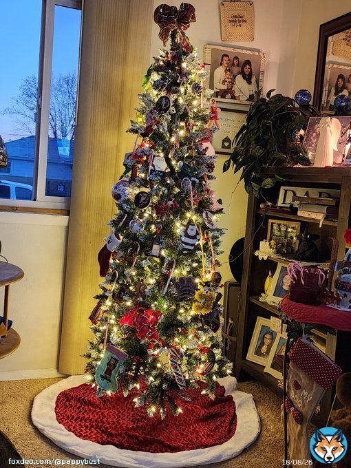 Well, we downsized the tree this year.  We bought a 6 ft pencil tree.  It's up.