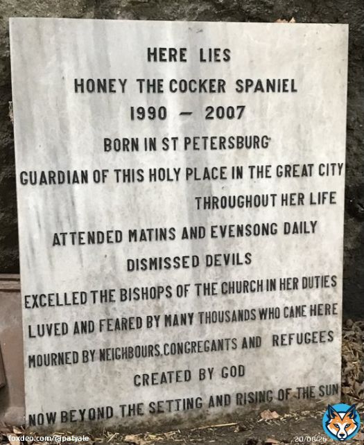 In 1990, following collapse of Soviet Union, many poor Russians arrived in #İstanbul to sell their belongings in #Sirkeci. Amongst the items for sale where some pedigree cocker spaniel puppies. One of them, born in St Petersburg, lived long & happy life & has a fine memorial.