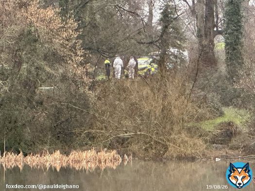 A garda forensic team examines an area of Santry park in Dublin cordoned off as part of the investigation into the disappearance of Icelandic man Joe Jonsson who went missing in Dublin five years ago, more @rtenews