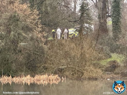 A garda forensic team examines an area of Santry park in Dublin cordoned off as part of the investigation into the disappearance of Icelandic man Joe Jonsson who went missing in Dublin five years ago, more @rtenews