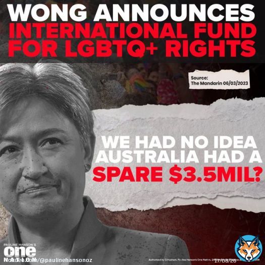 Anthony Albanese's Labor Government has pledged $3,500,000 taxpayer dollars to help fund overseas 'LGBTQIA+' activist groups.  Remember this next time they say they must raise your taxes because they have run out of your money to spend.