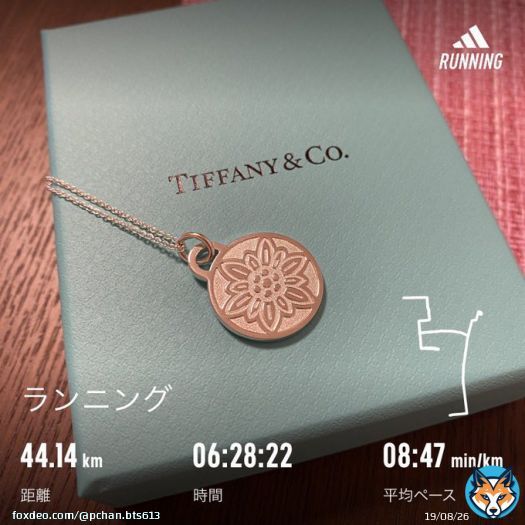 完走しました！今は痛みで体が全く動きません！笑　沢山の方が応援してくれて、ゴール手前のABBAの歌とモニターメッセージに感極まり思わず涙が素敵な思い出をありがとうございました！  #ランニング #ジョギング #名古屋ウィメンズマラソン