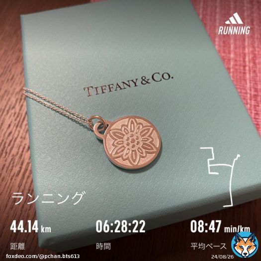 完走しました！今は痛みで体が全く動きません！笑　沢山の方が応援してくれて、ゴール手前のABBAの歌とモニターメッセージに感極まり思わず涙が素敵な思い出をありがとうございました！  #ランニング #ジョギング #名古屋ウィメンズマラソン