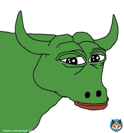 $PEPE  WE ARE IN THE EARLIEST STAGES OF A BULL MARKET. NEWS OUTLETS ARE STILL SPREADING FEAR.  YOU ARE EARLY.   #PEPEARMY