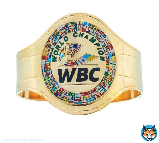 WBC優勝 おめでとう記念 WBCグッズ WORLD CHAMPION 便乗ですが いかがですか？  カッコいい品揃え