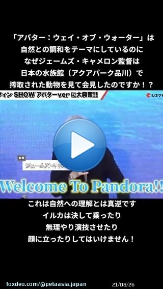 「アバター：ウェイ・オブ・ウォーター」の記者会見がアクアパーク品川@_aquapark_で行われ、ジェームズ・キャメロンがイルカショーを絶賛？ 水族館では誰もイルカの許可を取っていませんよ、@JimCameron！ イルカが「大好き」なら、イルカの搾取に反対してください！ #アバターウェイオブウォーター