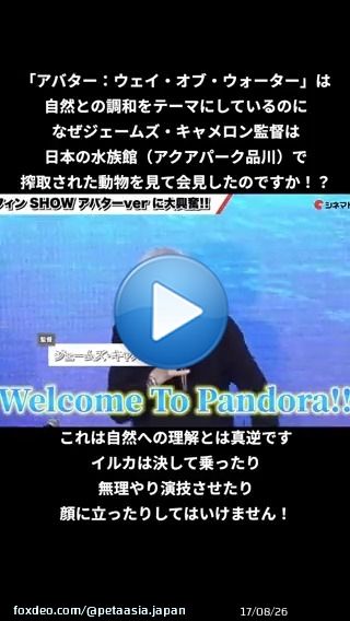 「アバター：ウェイ・オブ・ウォーター」の記者会見がアクアパーク品川@_aquapark_で行われ、ジェームズ・キャメロンがイルカショーを絶賛？ 水族館では誰もイルカの許可を取っていませんよ、@JimCameron！ イルカが「大好き」なら、イルカの搾取に反対してください！ #アバターウェイオブウォーター
