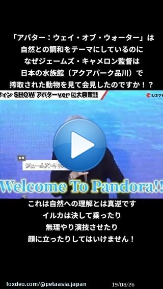 「アバター：ウェイ・オブ・ウォーター」の記者会見がアクアパーク品川@_aquapark_で行われ、ジェームズ・キャメロンがイルカショーを絶賛？ 水族館では誰もイルカの許可を取っていませんよ、@JimCameron！ イルカが「大好き」なら、イルカの搾取に反対してください！ #アバターウェイオブウォーター