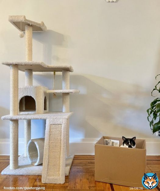 Your product vs. what users actually want