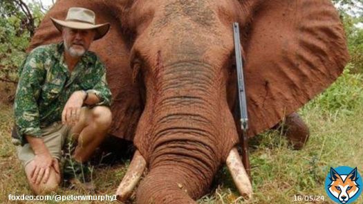 NSW Shooters, Fishers & Farmers Party Upper House MP Robert Borsak has admitted to killing 8 elephants. Why is this grub in our Parliament?  #NSWpol #NSWvotes