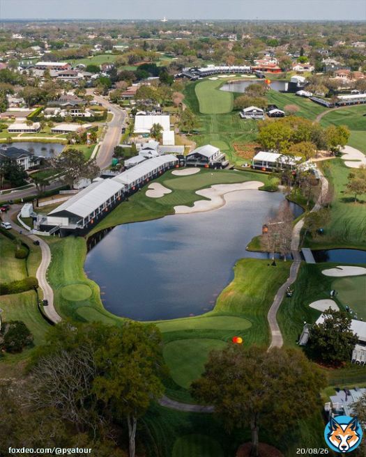Beautiful Bay Hill from above