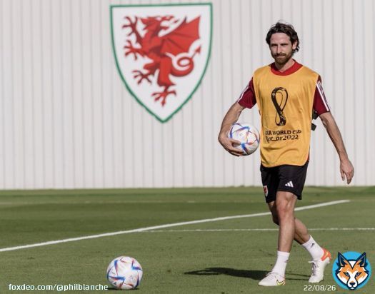 &lsquo;Give me hope Joe Allen&rsquo;